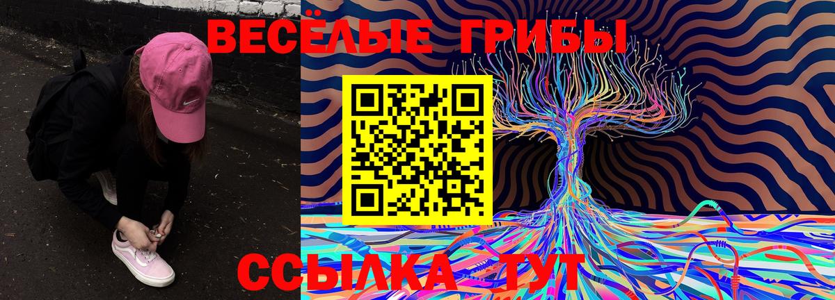 Надым  Псилоцибиновые грибы MAGIC MUSHROOMS  Вход с VPN 